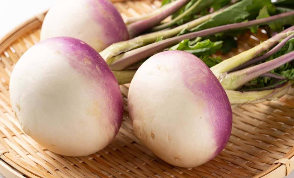 turnip - Livayur